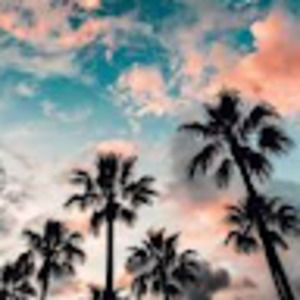 Meet your Posher, Samiah